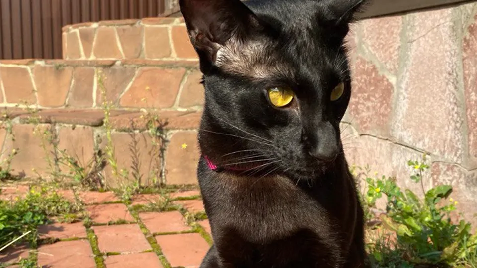 Фото: предоставлено героиней материала