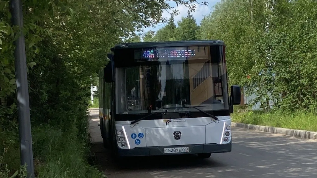 Фото: t.me/krasnoznamensklife