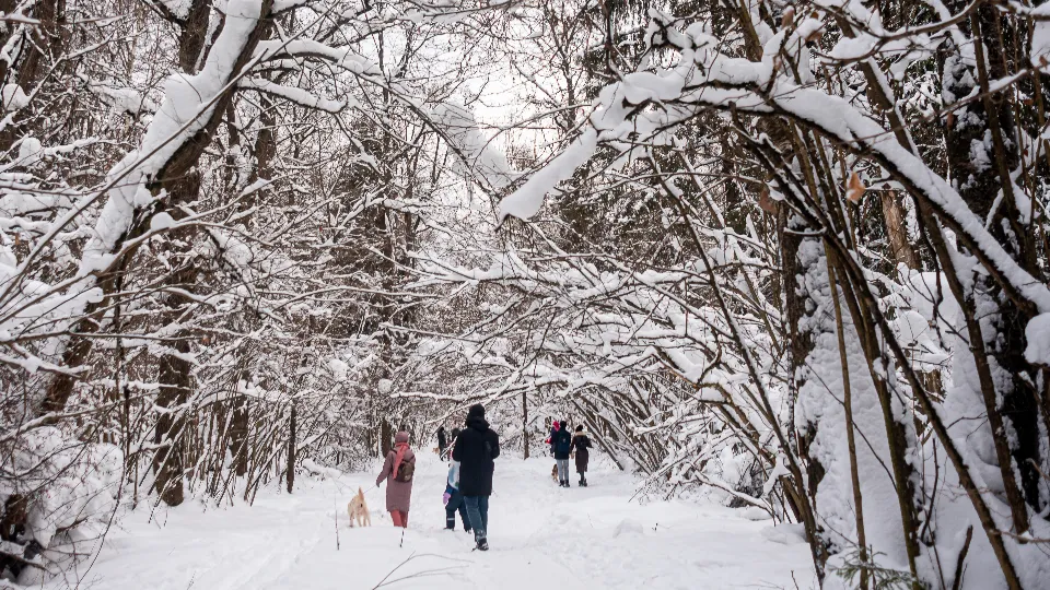 Фото: медиасток.рф
