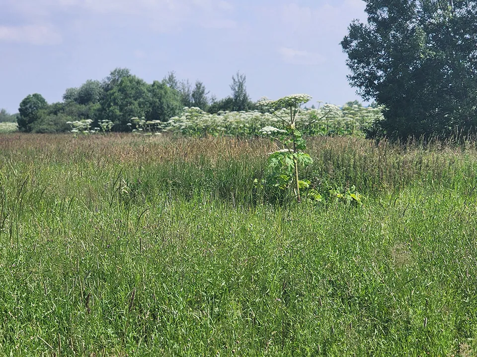Фото: МедиаБанк Подмосковья/Елена Шумакова