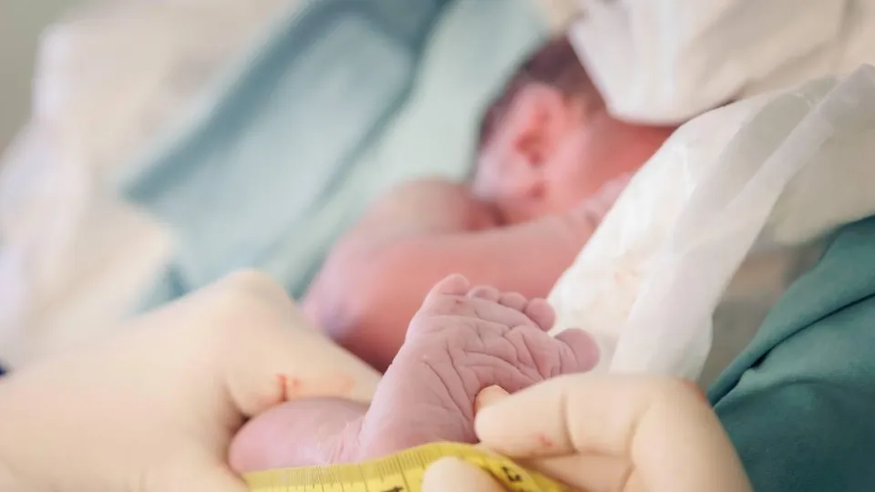 Фото: МОЦОМД