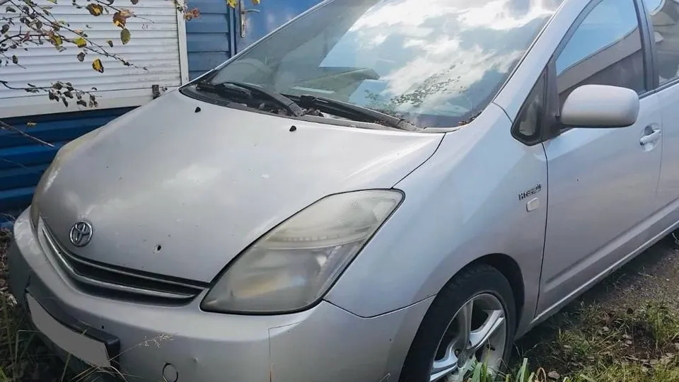 Фото: t.me/mosoblproc