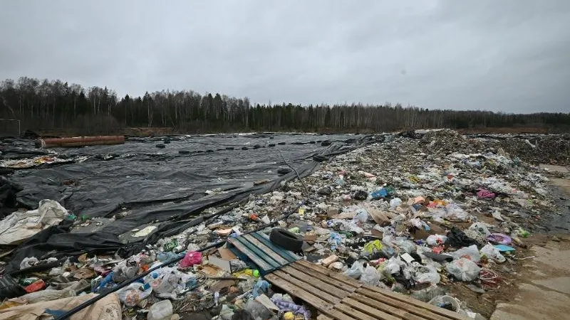 Павел Попов