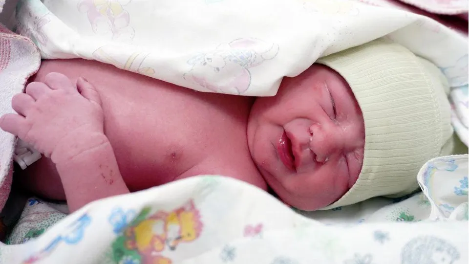 Фото: Министерство здравоохранения Московской области