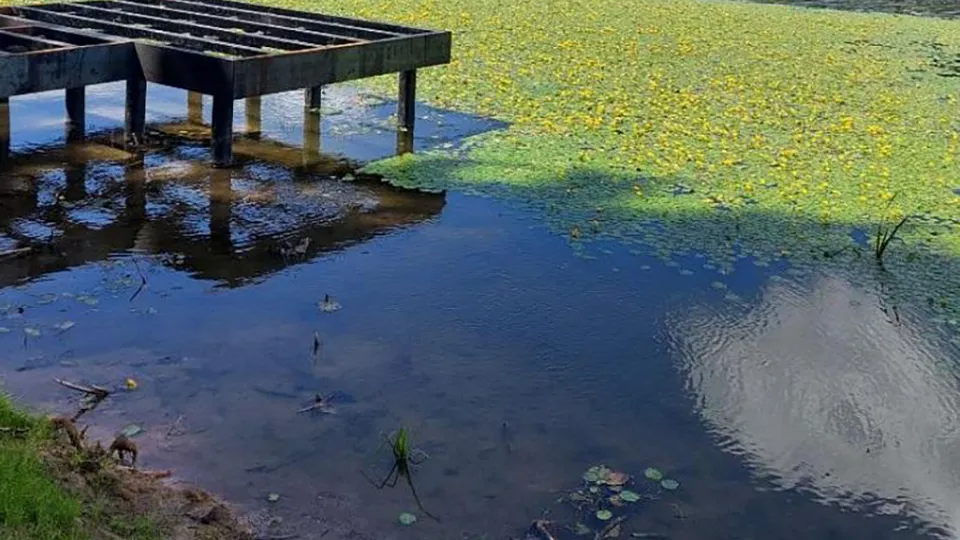 Фото: Минэкологии МО