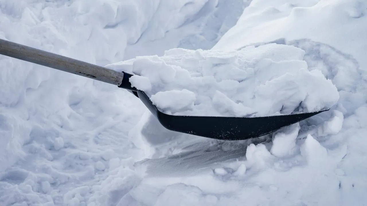 istockphoto.com/AVAKAphoto