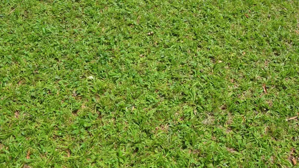 Фото: pxhere.com