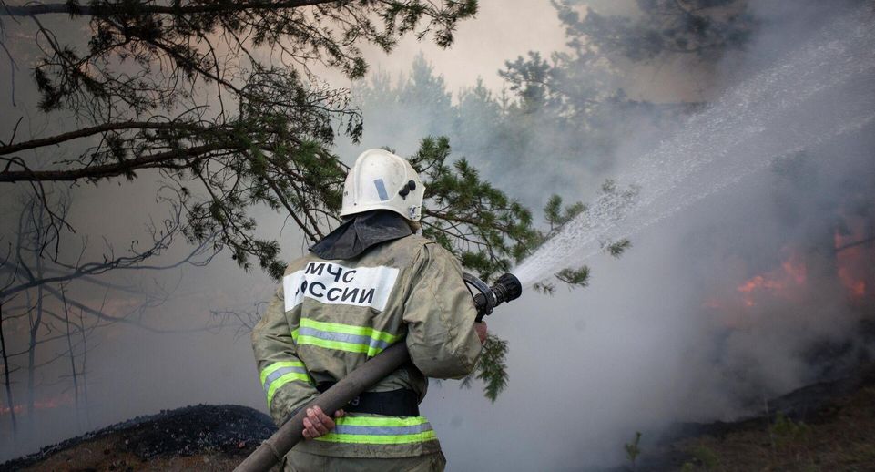 В России за сутки потушили 32 лесных пожара
