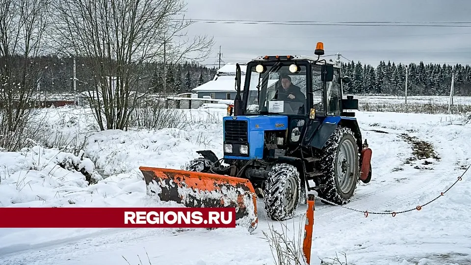 Фото: МедиаБанк Подмосковья/Данила Кирьянов