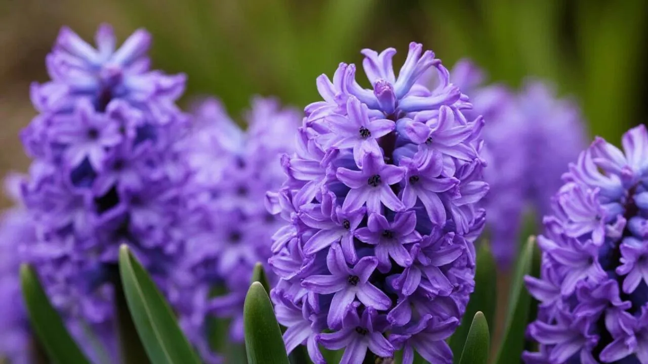 REGIONS/Сгенерировано нейросетью