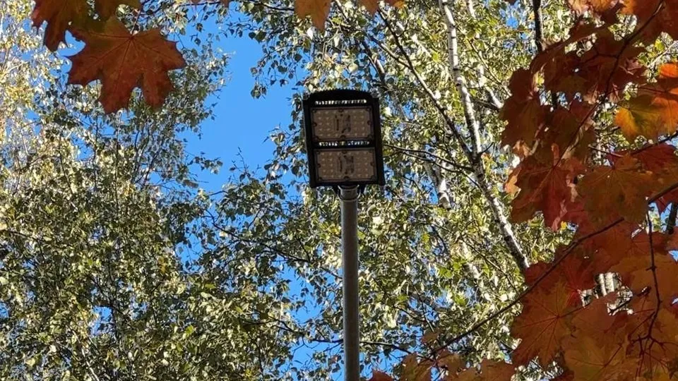 Фото: Ксения Казакова