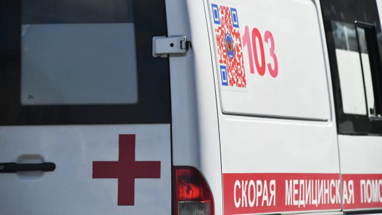 Фото: РИА Новости/Наталья Селиверстова