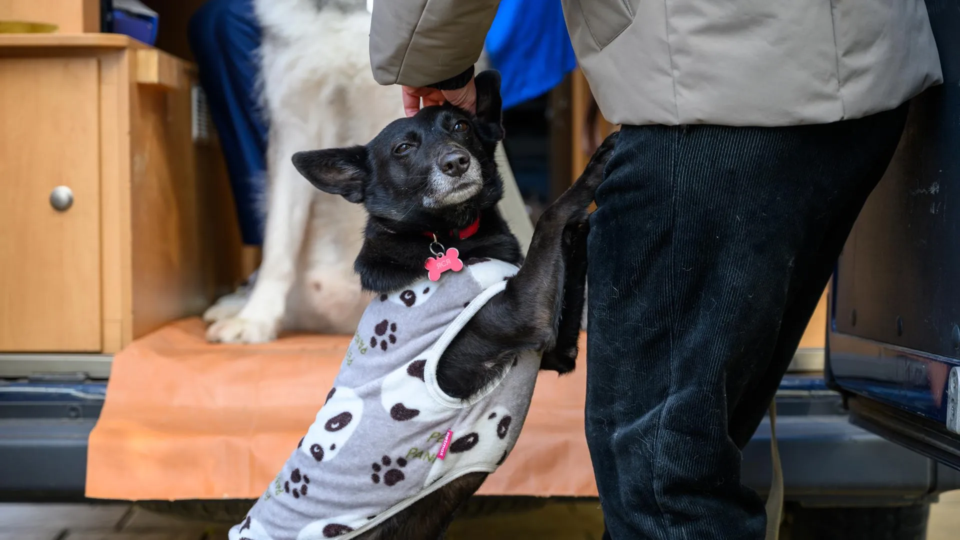 медиасток.рф