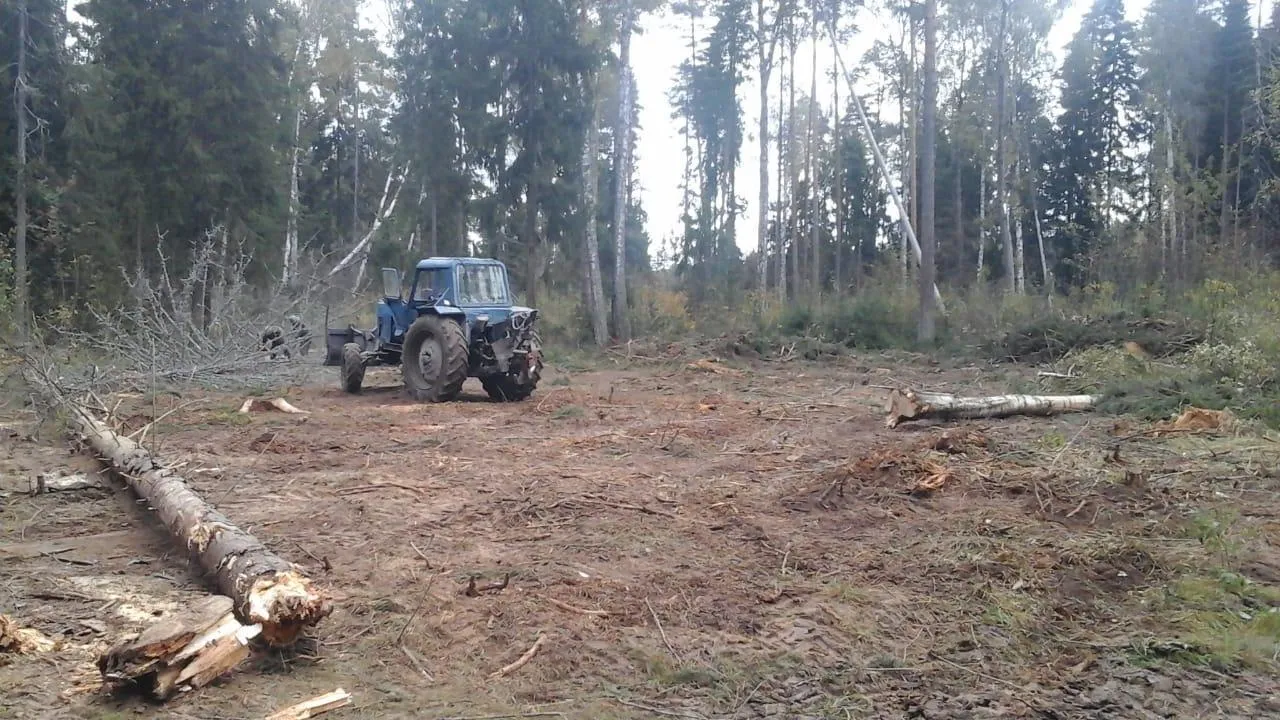 пресс-служба администрации Богородского городского округа