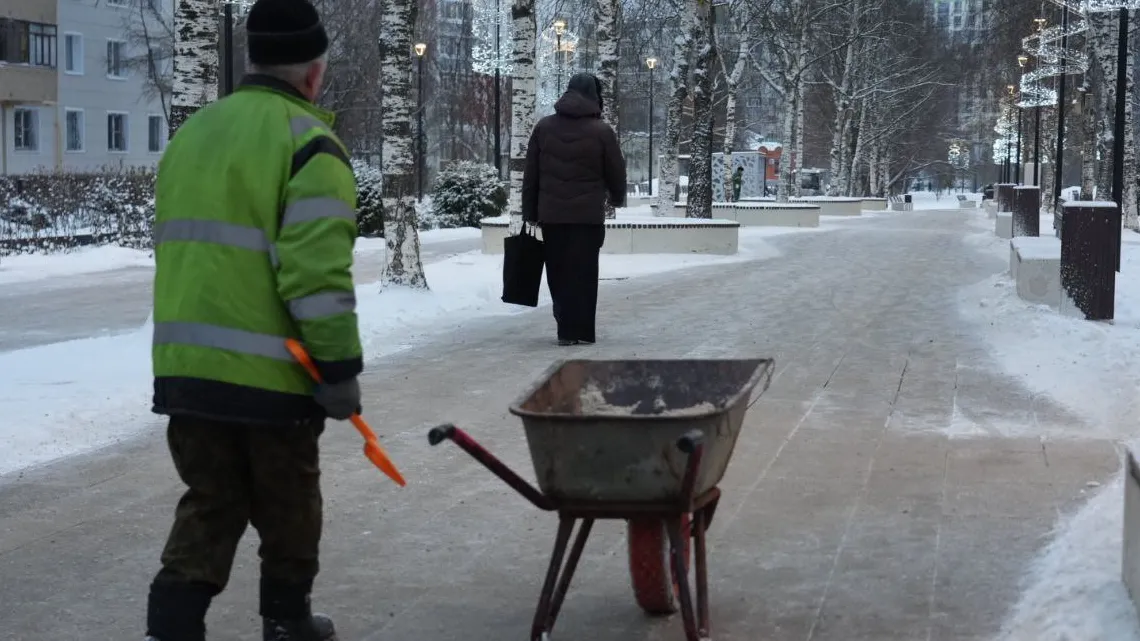 Фото: МедиаБанк Подмосковья/Дмитрий Зайчиков