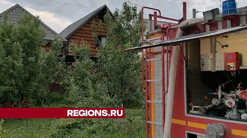Фото: пресс-служба администрации городского округа Луховицы