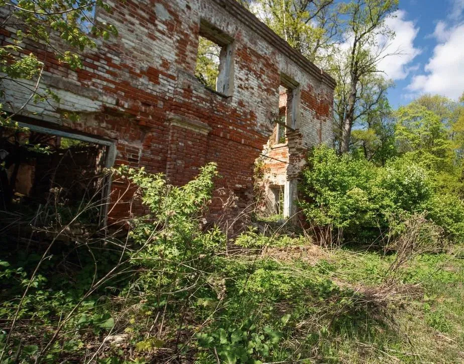 Фото: пресс-служба администрации г.о. Кашира&nbsp;