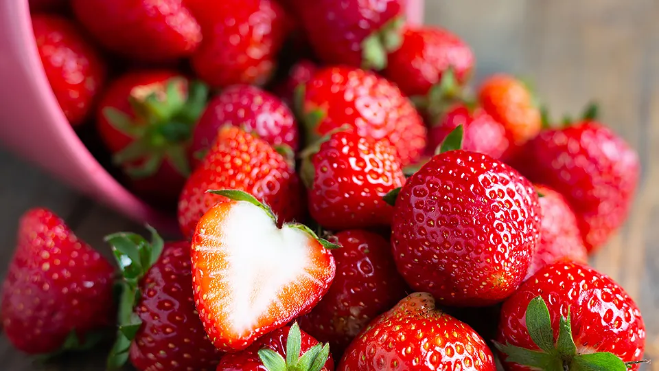 Фото: freepik.com