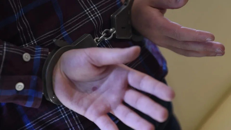 Фото: Медиаархив Подмосковья