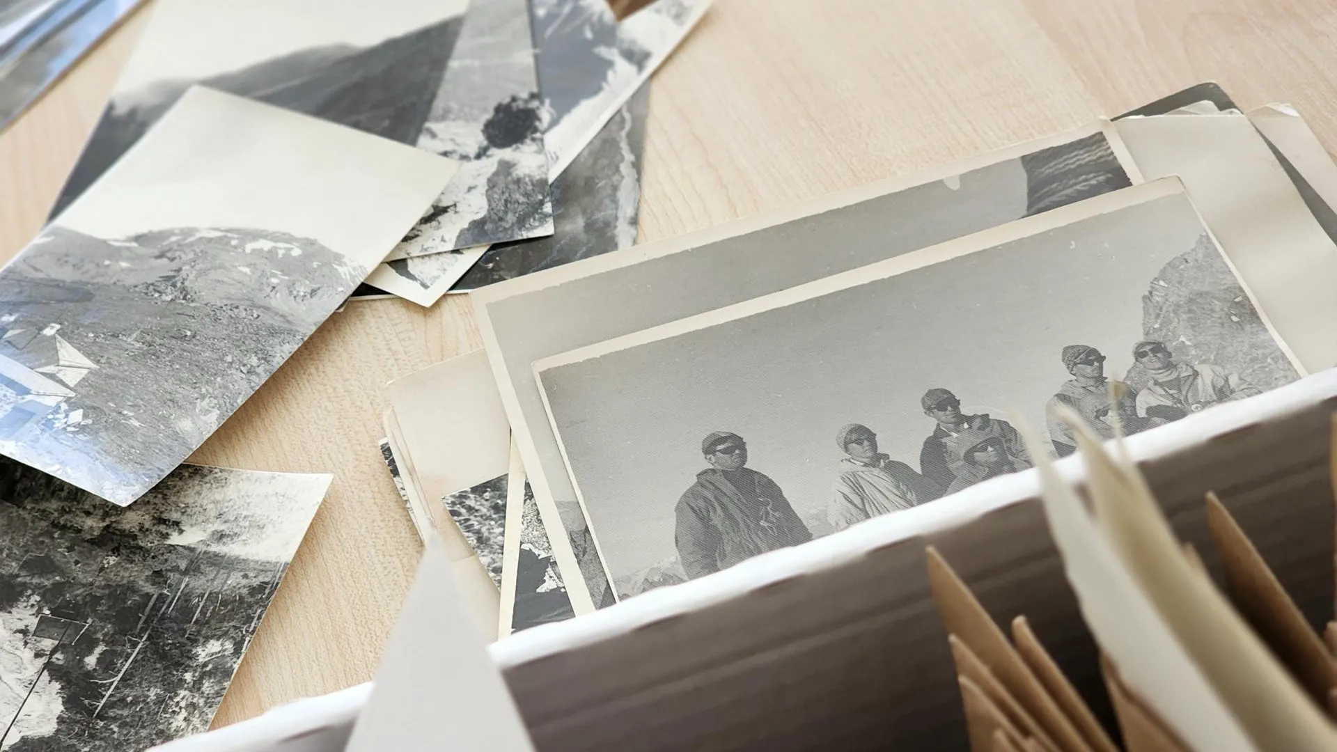 Фото: Полина Пахомова