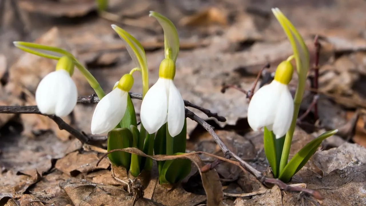 медиасток.рф