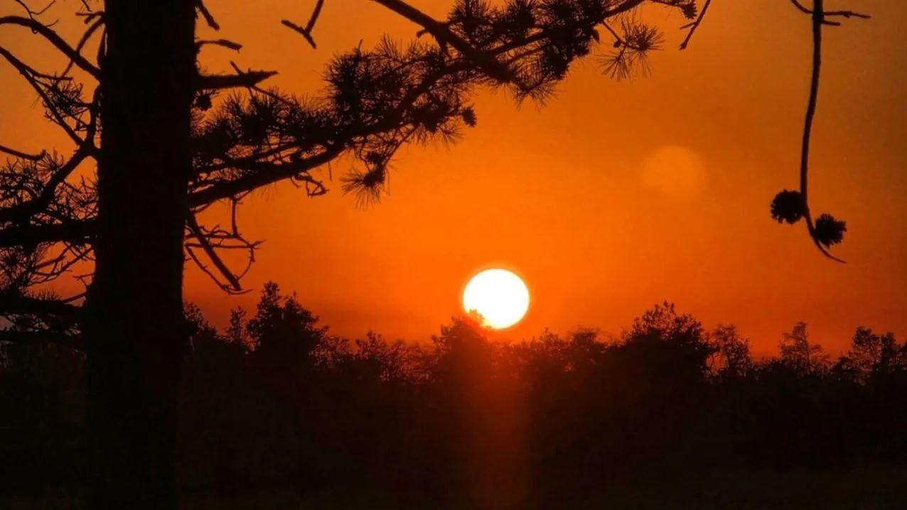 REGIONS/Анастасия Широкая