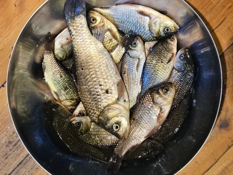 Фото: личный архив Алексея Локтева