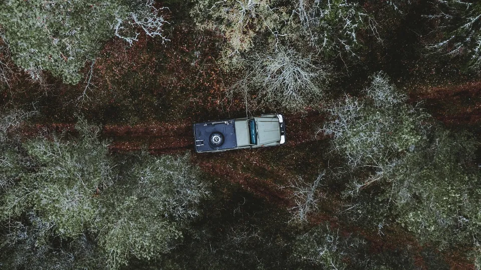 Фото: freepik.com