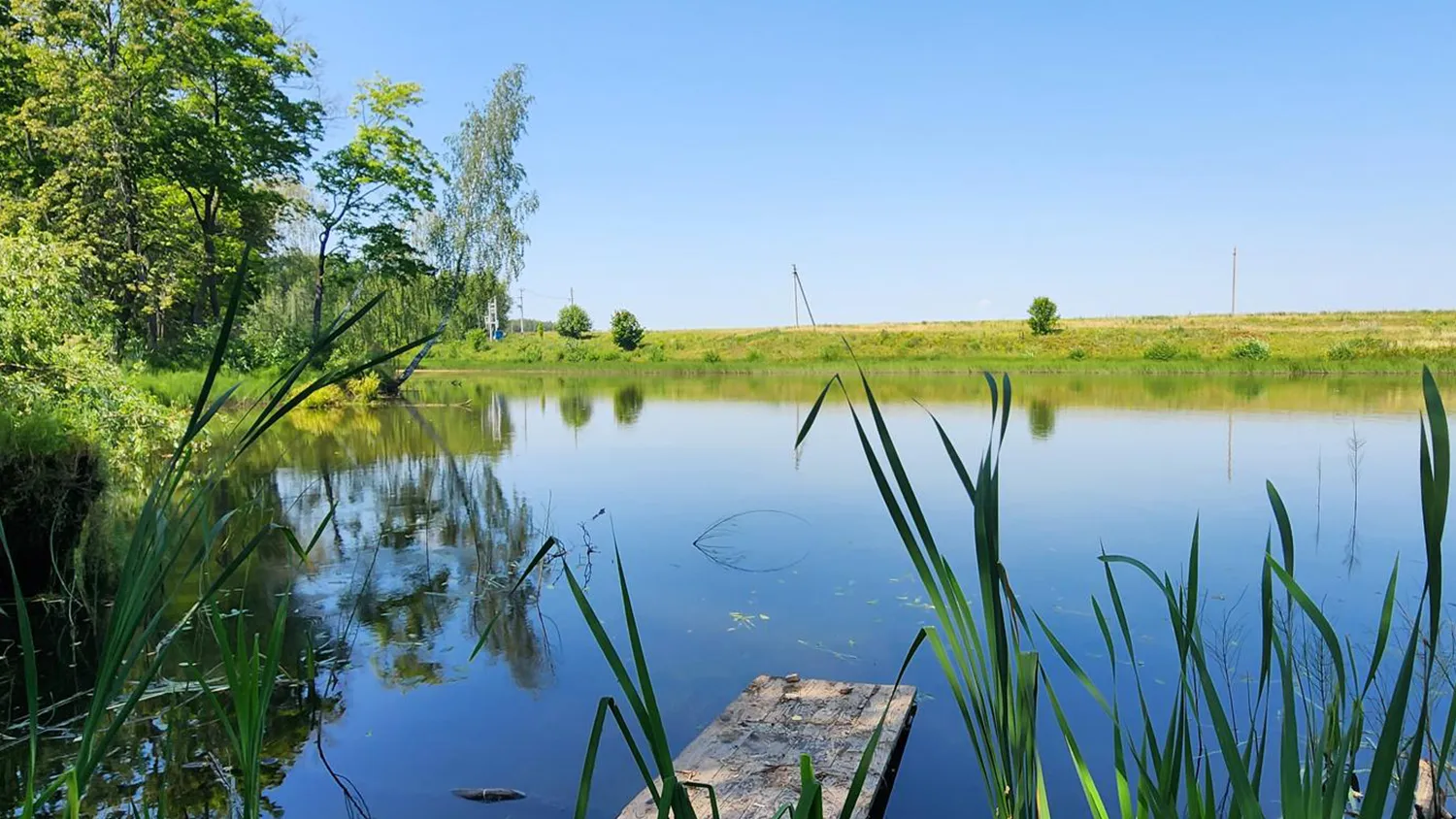 Фото: Станислав Орлов