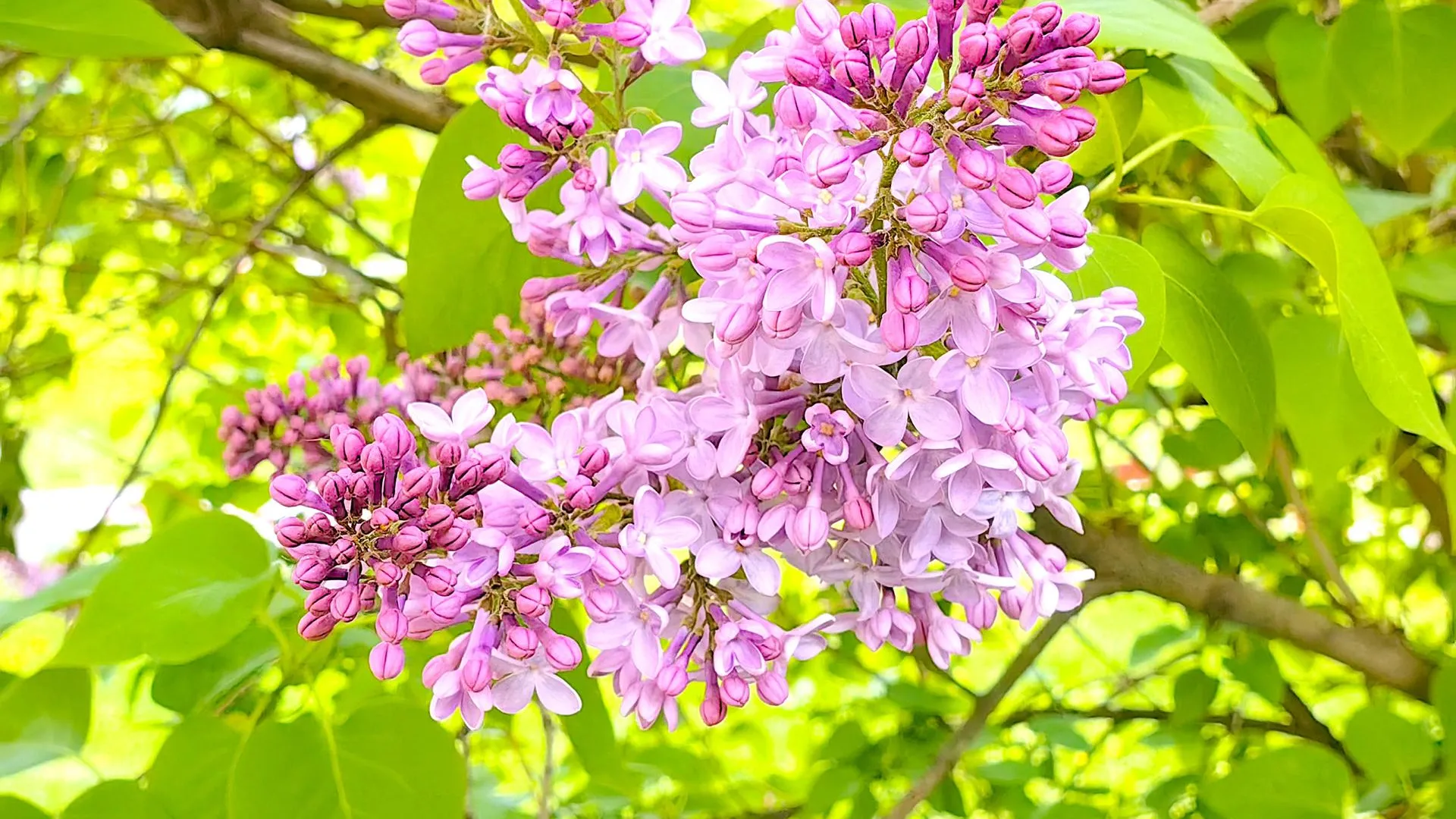 Фото: REGIONS/Елена Катасонова