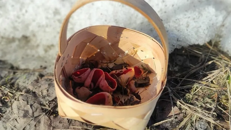 Фото: Татьяна Дадаева