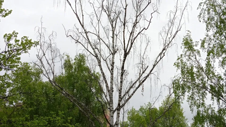 Фото: соцсети