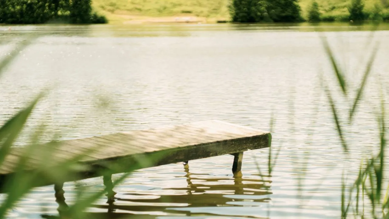 Фото: пресс-служба администрации г.о. Кашира