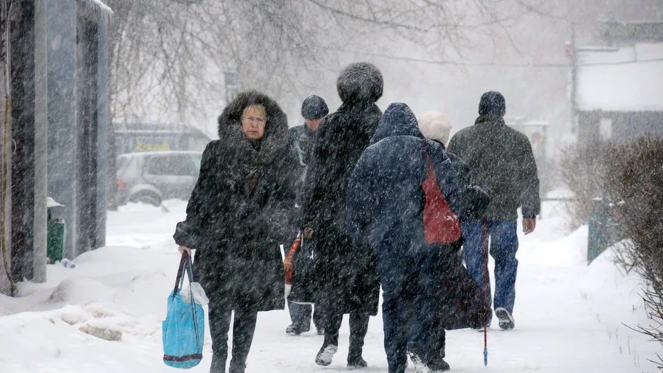 Фото: медиасток.рф