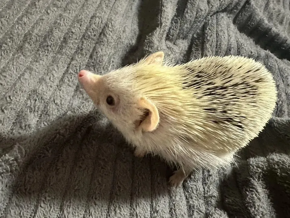 Фото: городская доска объявлений