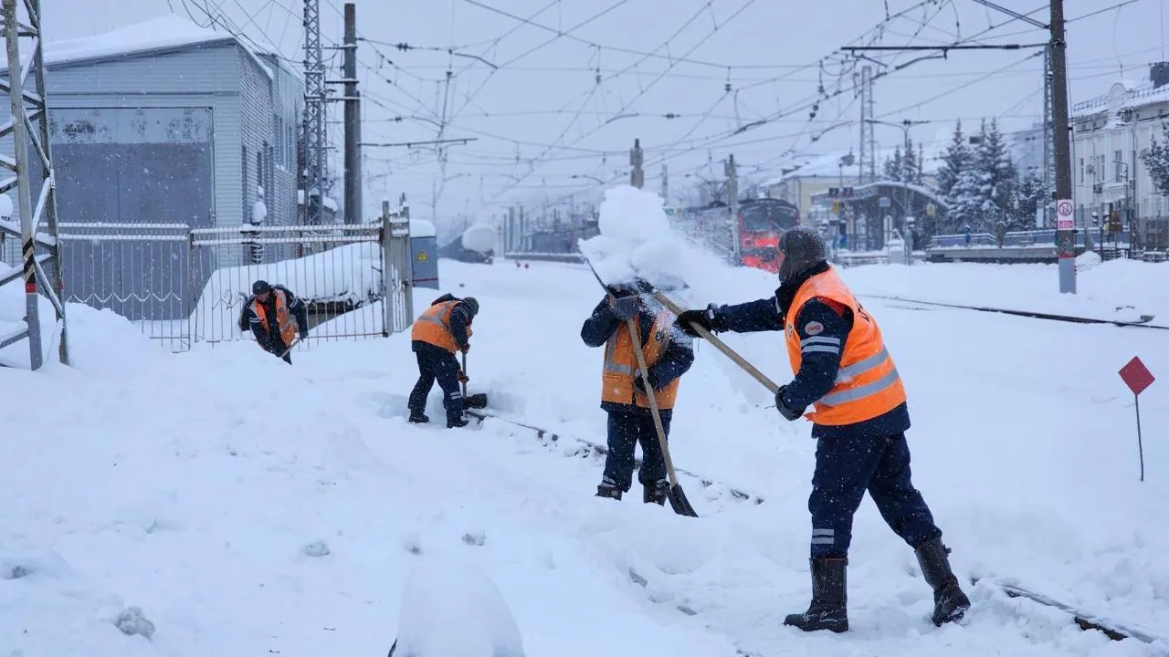 Елена Шумакова