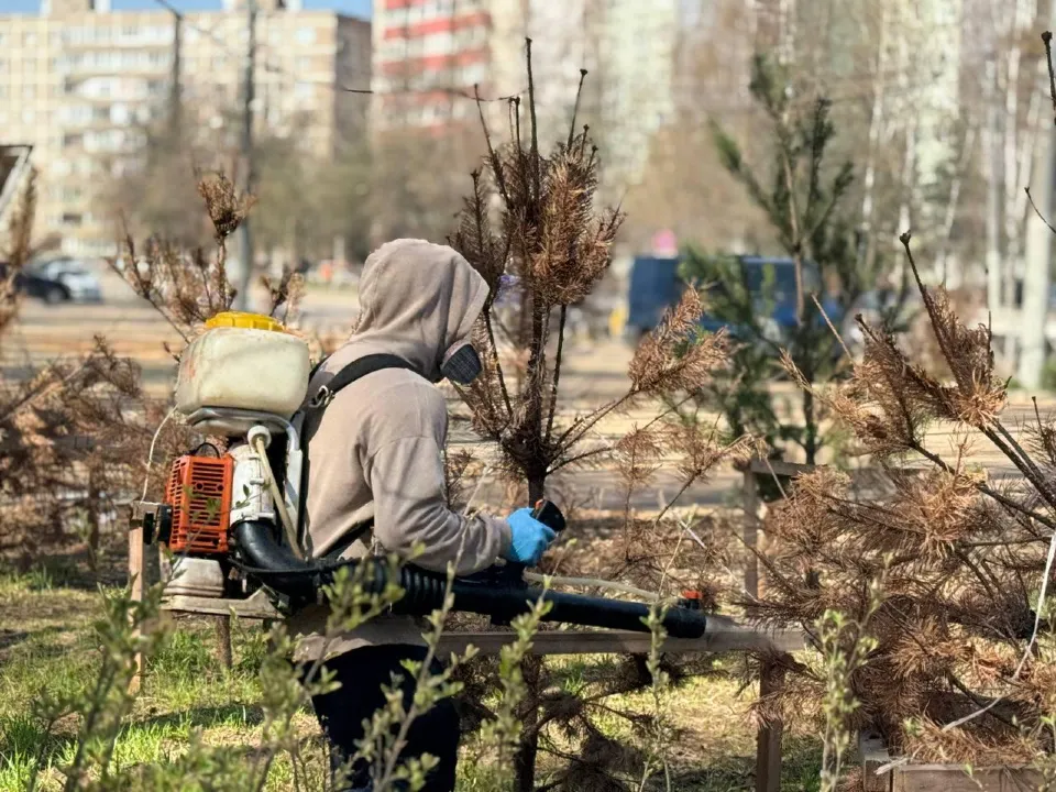 Фото: пресс-служба администрации Ленинского г.о.