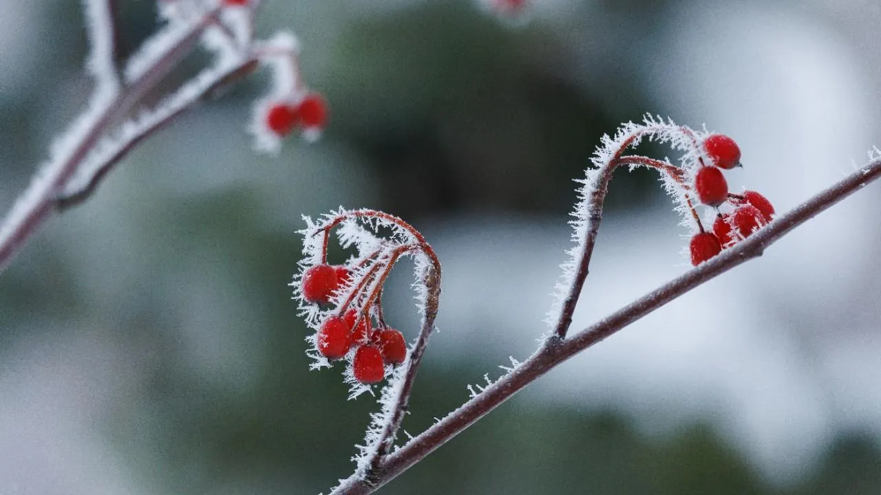 медиасток.рф