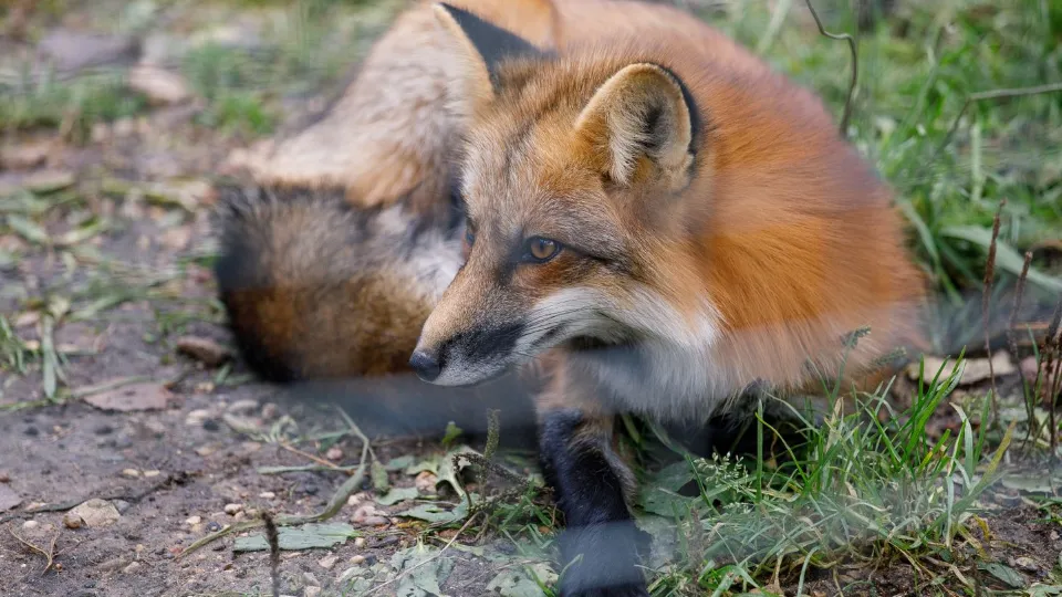 Фото: медиасток.рф