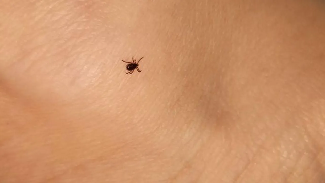 Фото: пресс-служба Ступинской КБ