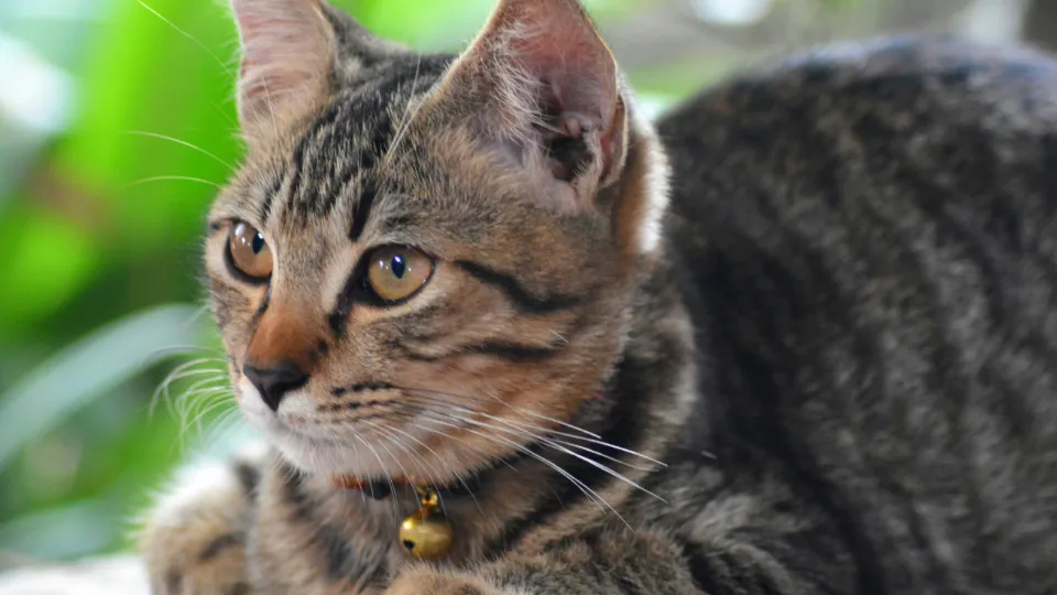 Фото: unsplash.com