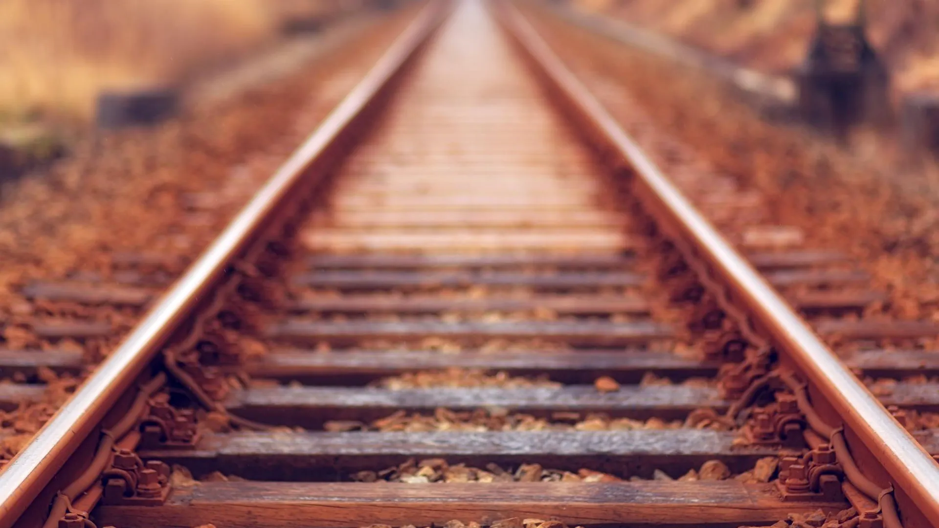 Фото: unsplash.com