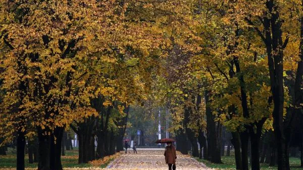 Не по сезону теплая погода сохранится в регионе