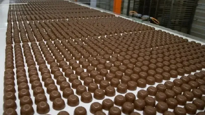 Фото: пресс-служба Минсельхозпрода МО