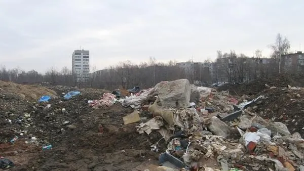Четыре незаконные свалки выявили в МО за неделю