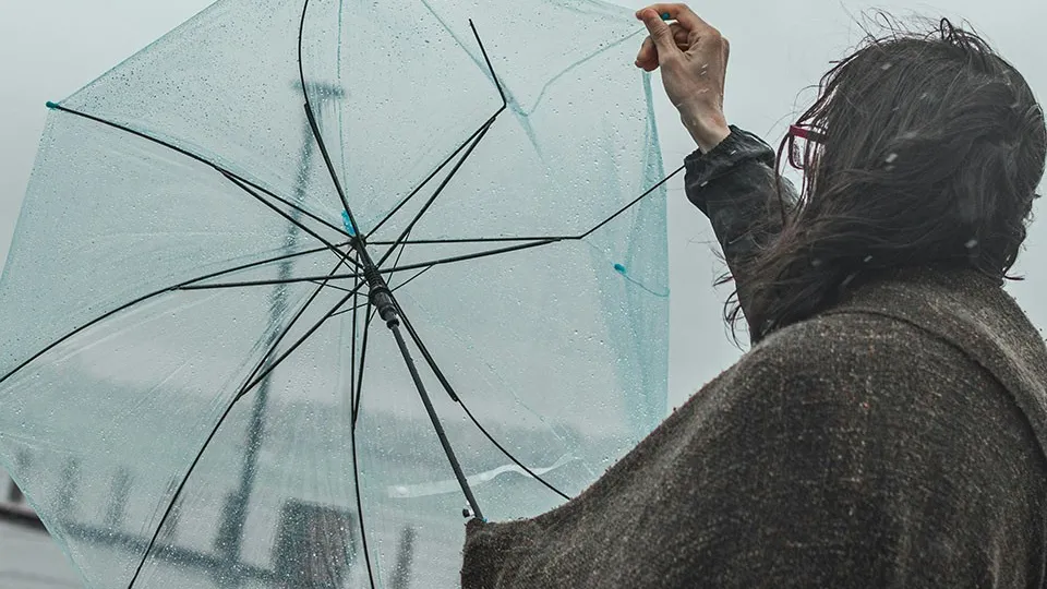 Фото: unsplash.com