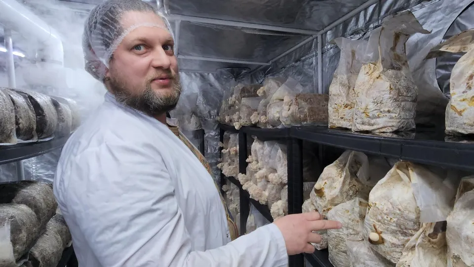 Фото: REGIONS/Артем Мишуков