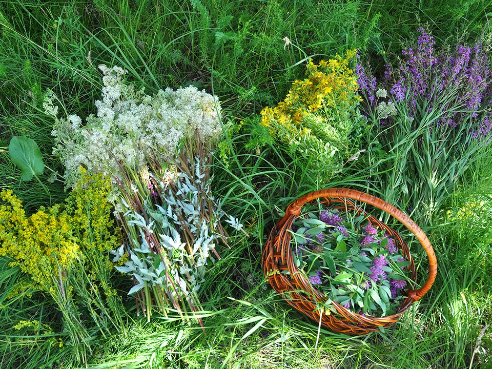 Фото: istockphoto.com