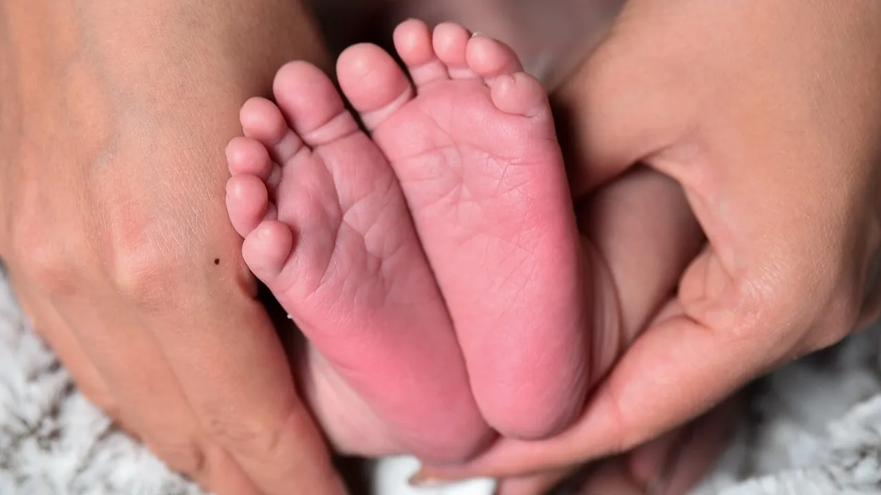 Фото: pxhere.com