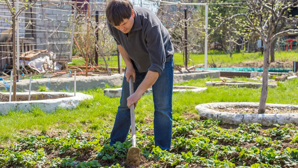 Фото: istockphoto.com